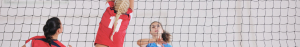 Volleyball